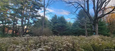 1195 Nys Route 17b Mongaup Valley NY 12762