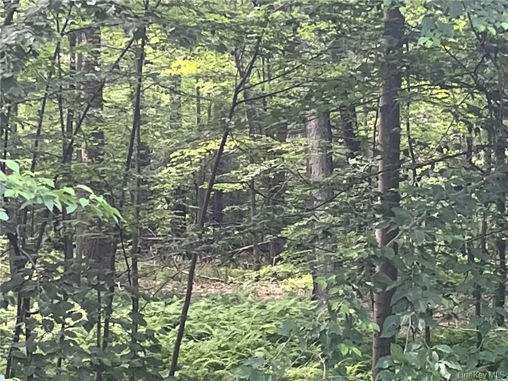 Mount Ross Pine Plains NY 12567