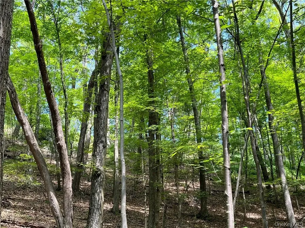 Mount Ross Pine Plains NY 12567