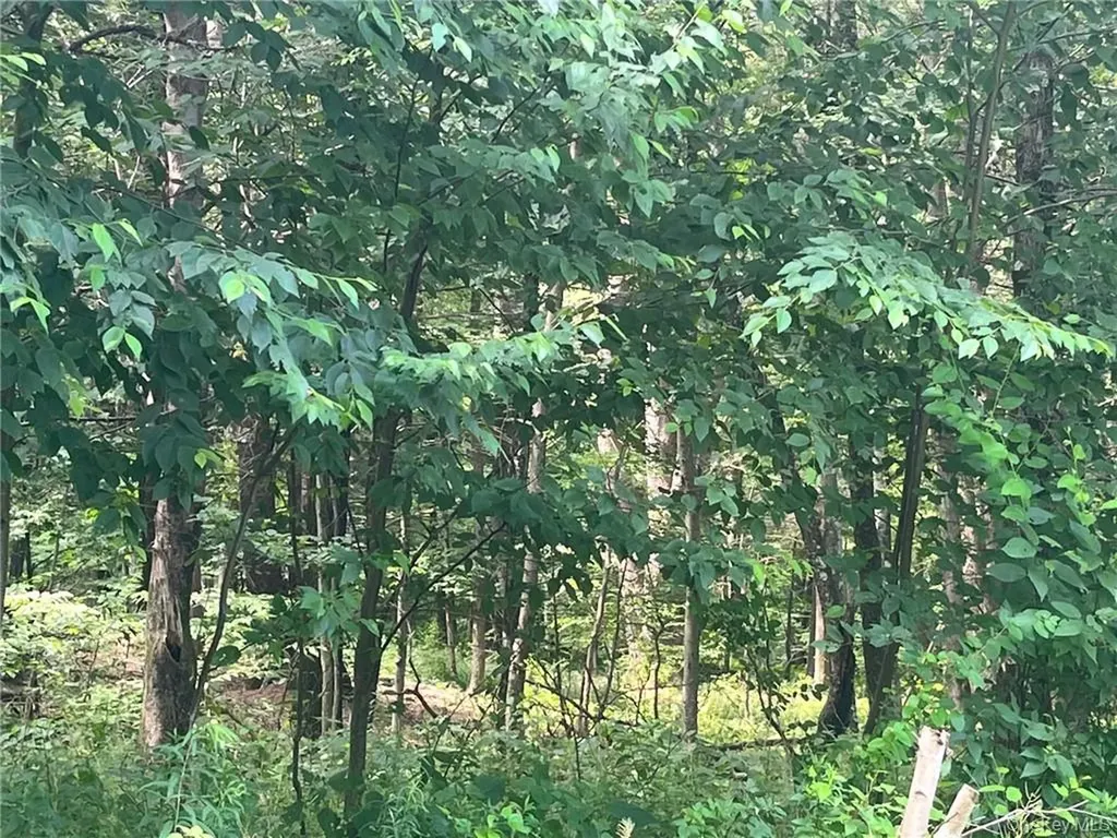 Mount Ross Pine Plains NY 12567