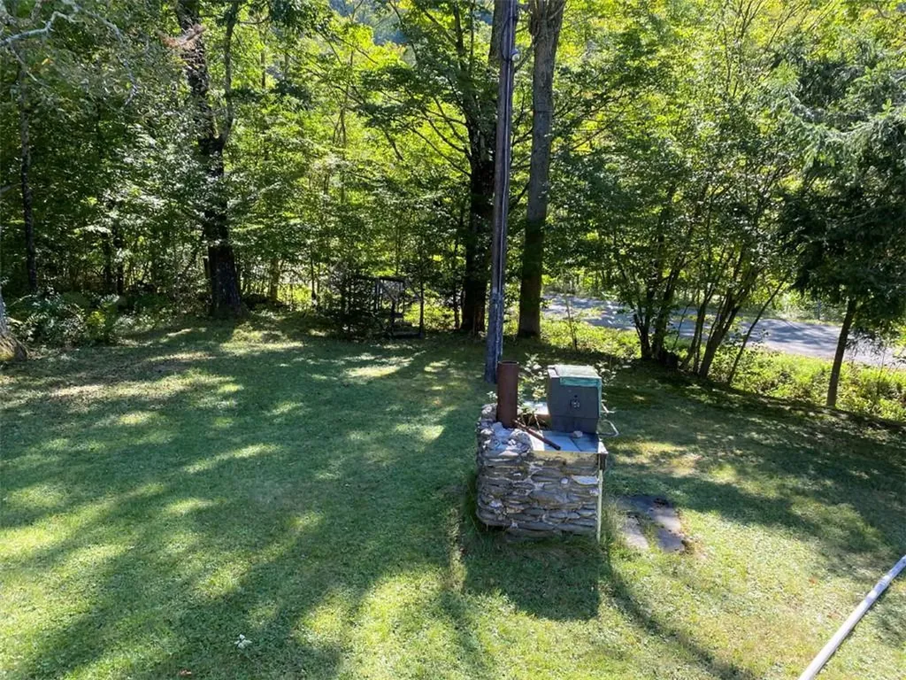 205 Elk Brook Road Roscoe NY 12776