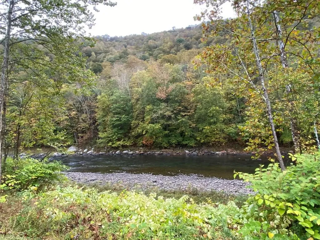 205 Elk Brook Road Roscoe NY 12776