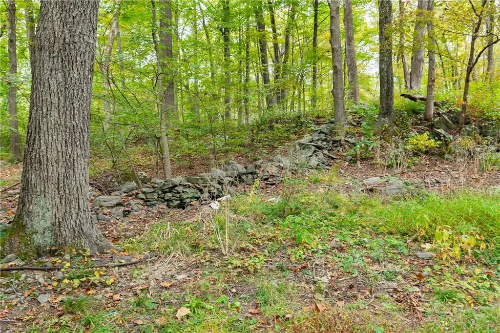 110 Cardinal Road Hyde Park NY 12538