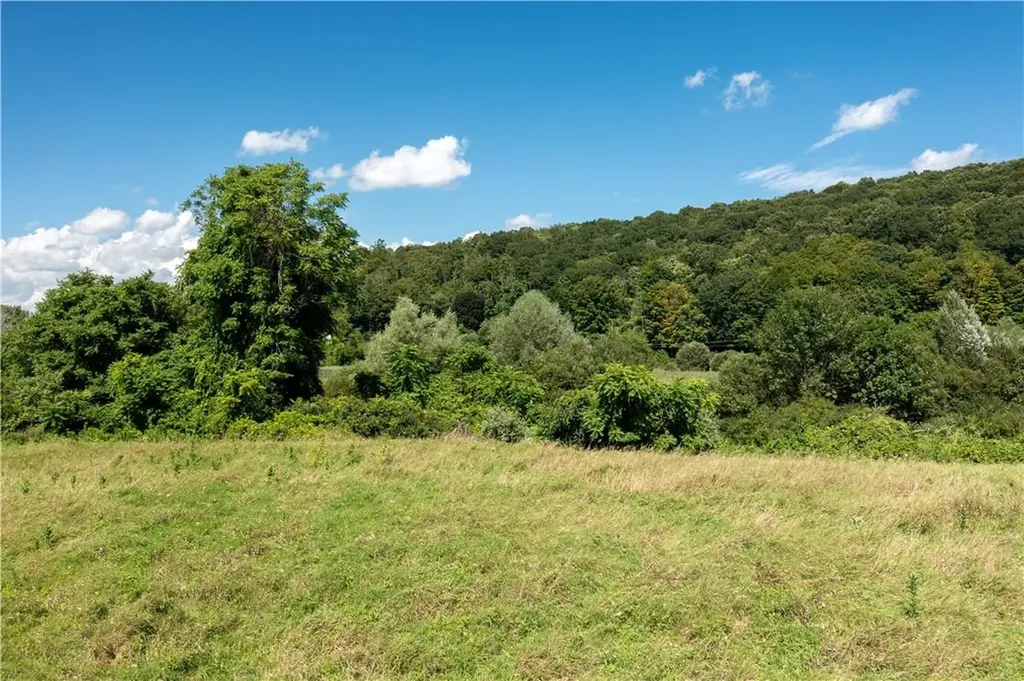 Patterson NY 12563