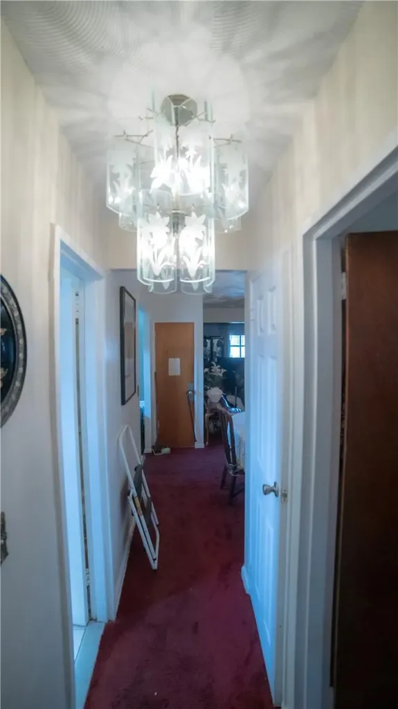 1010 E 233rd Street Bronx NY 10466