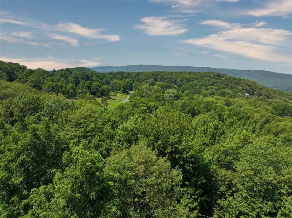 65 Mine Hill Road Cornwall NY 12518