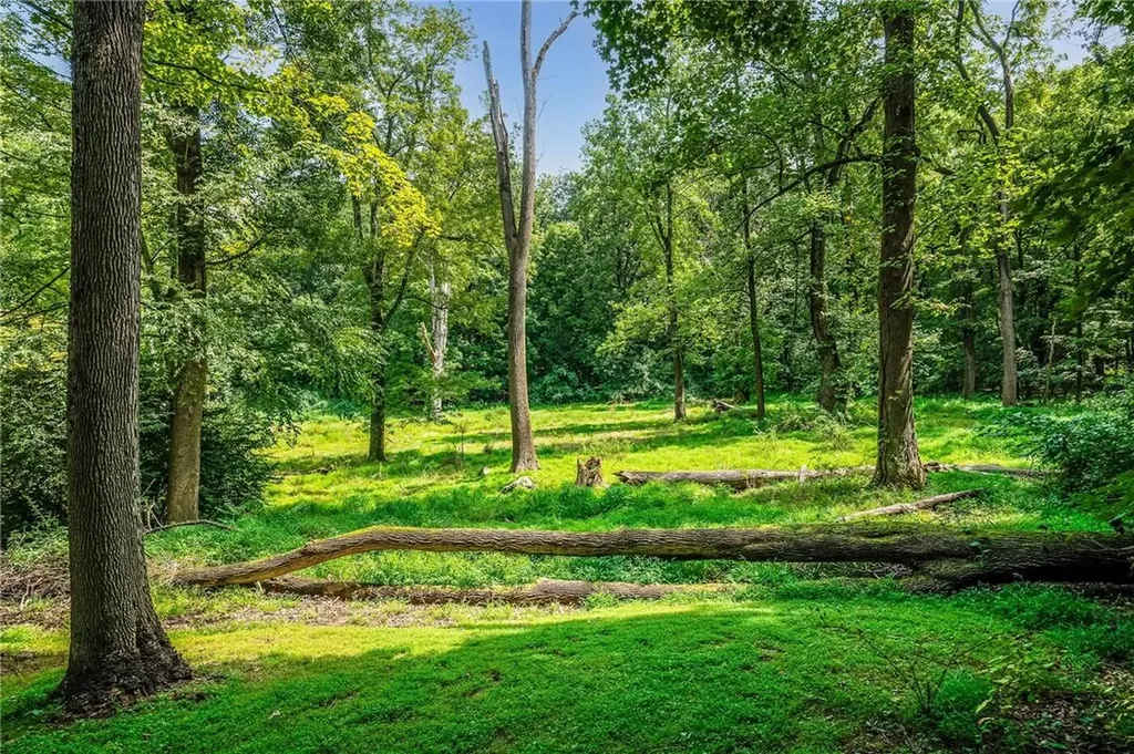 123 Marlborough Road Briarcliff Manor NY 10510