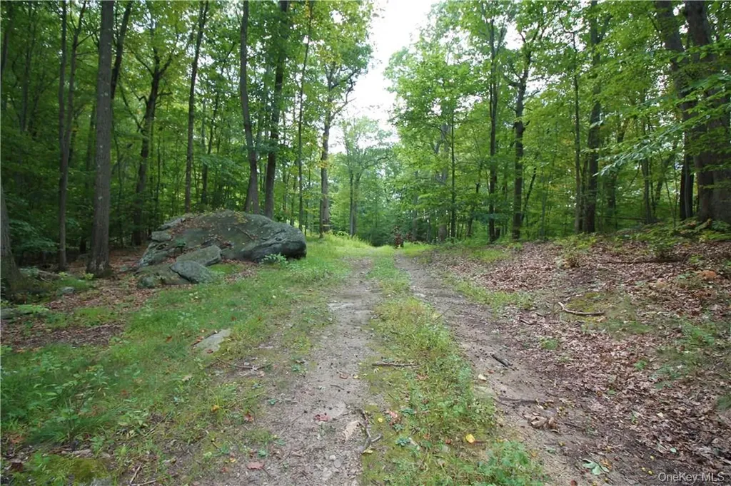 7 Gale Drive Mahopac NY 10541