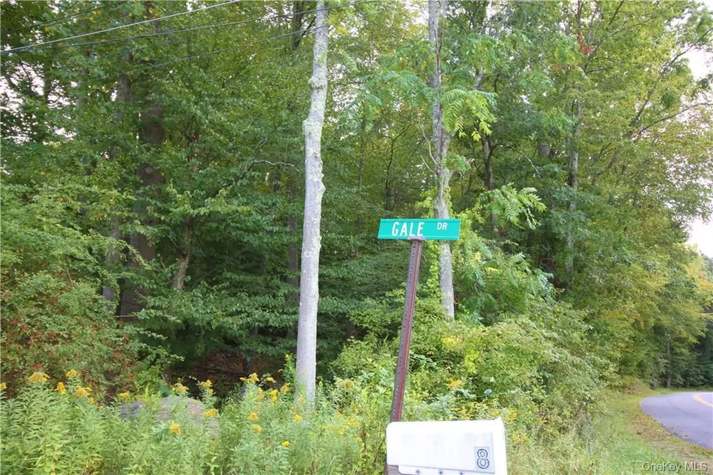 7 Gale Drive Mahopac NY 10541
