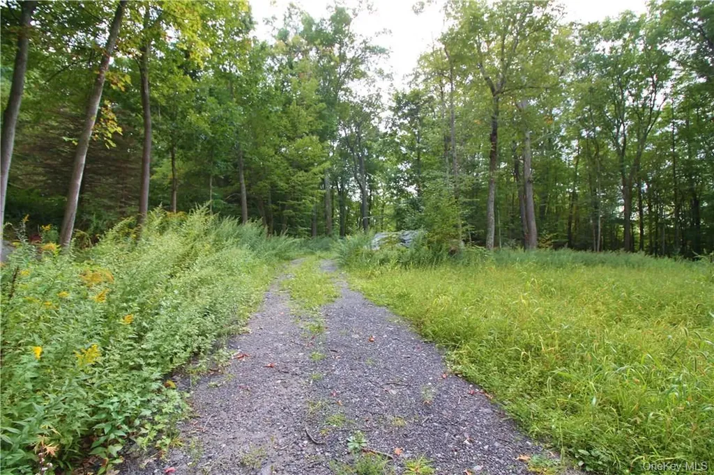7 Gale Drive Mahopac NY 10541