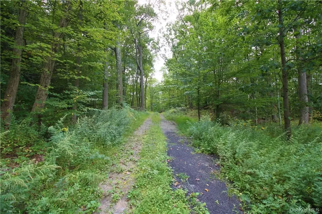 7 Gale Drive Mahopac NY 10541