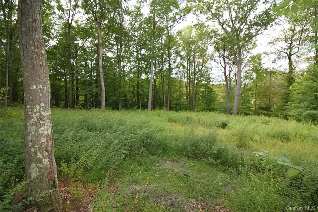 7 Gale Drive Mahopac NY 10541