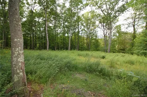 7 Gale Drive Mahopac NY 10541