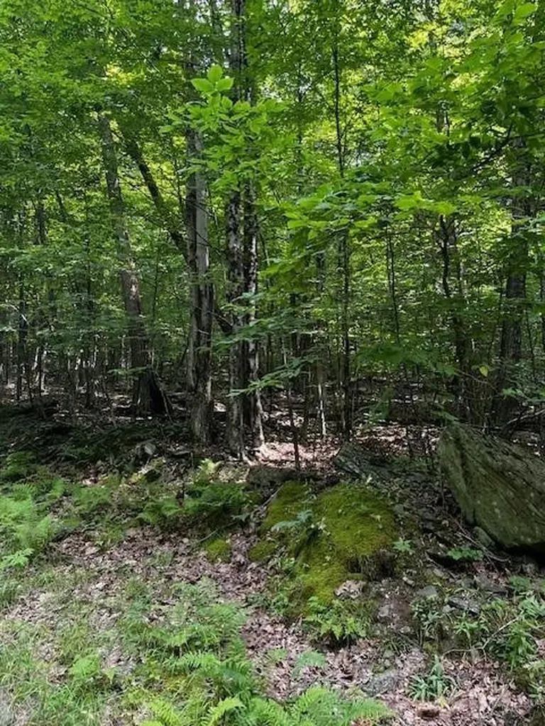 Route-30 Downsville NY 13755
