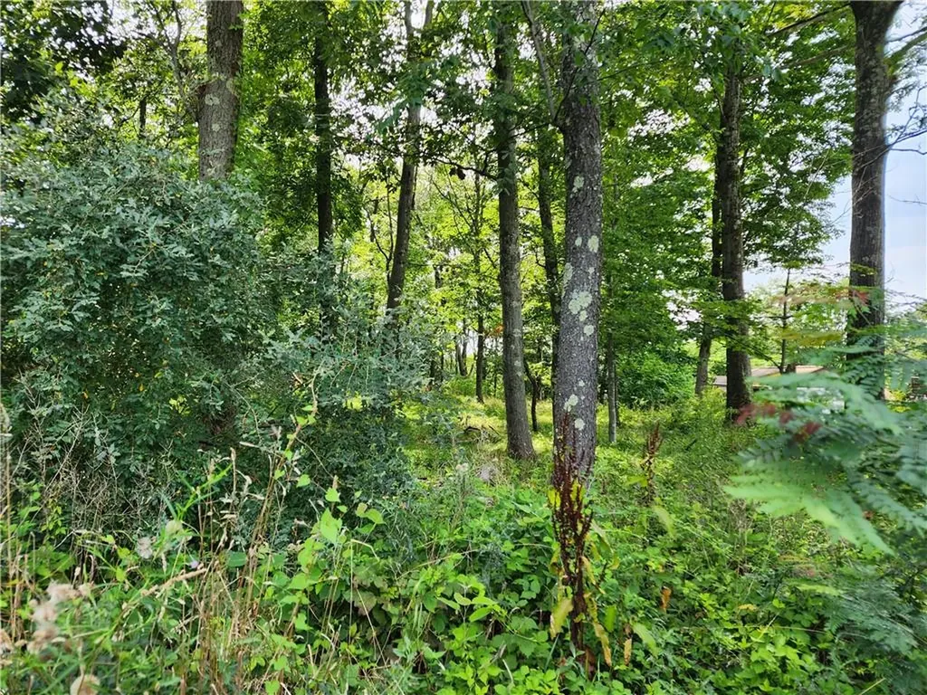 Kentview Drive Carmel NY 10512