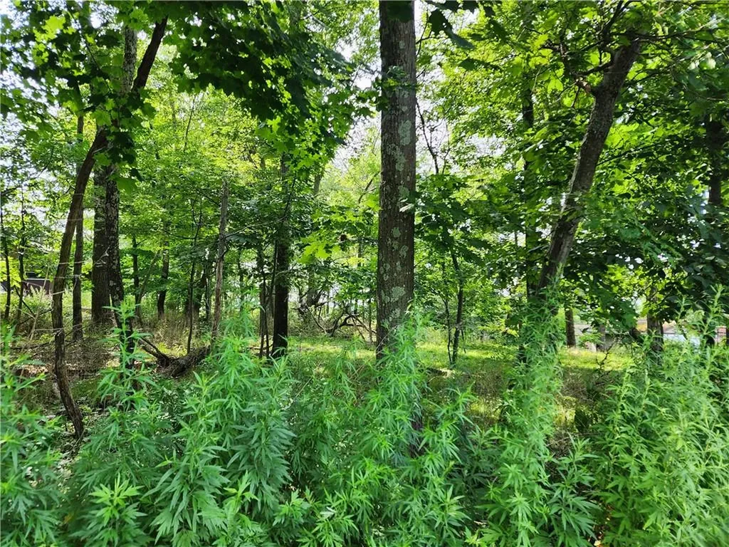 Kentview Drive Carmel NY 10512