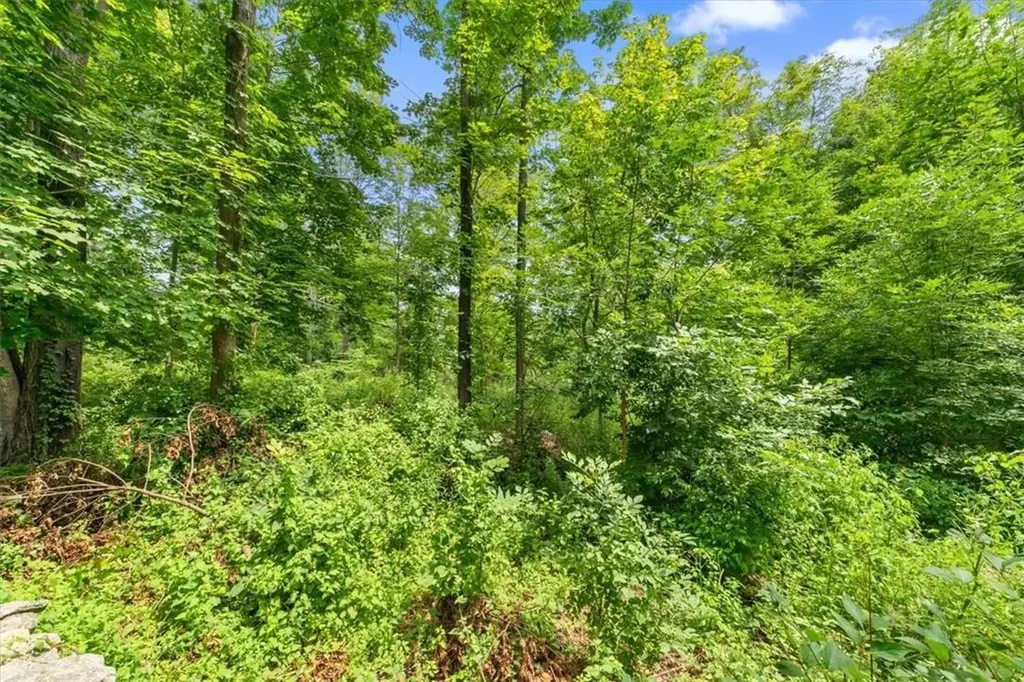 86 Bloomer Road Mahopac NY 10541