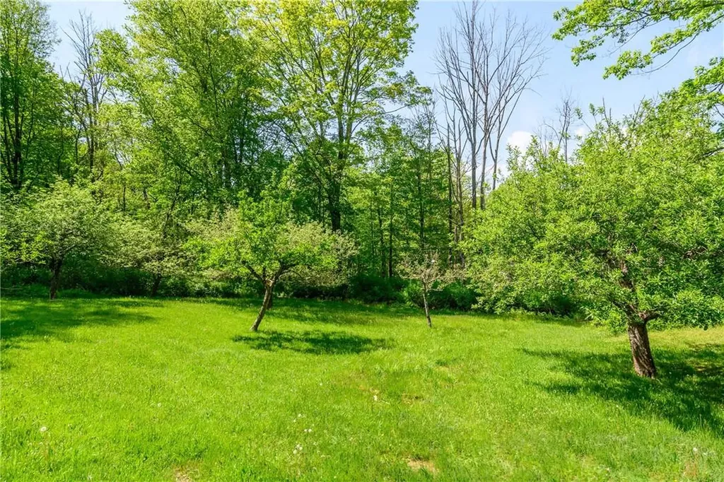 460 Birch Hill Road Patterson NY 12563