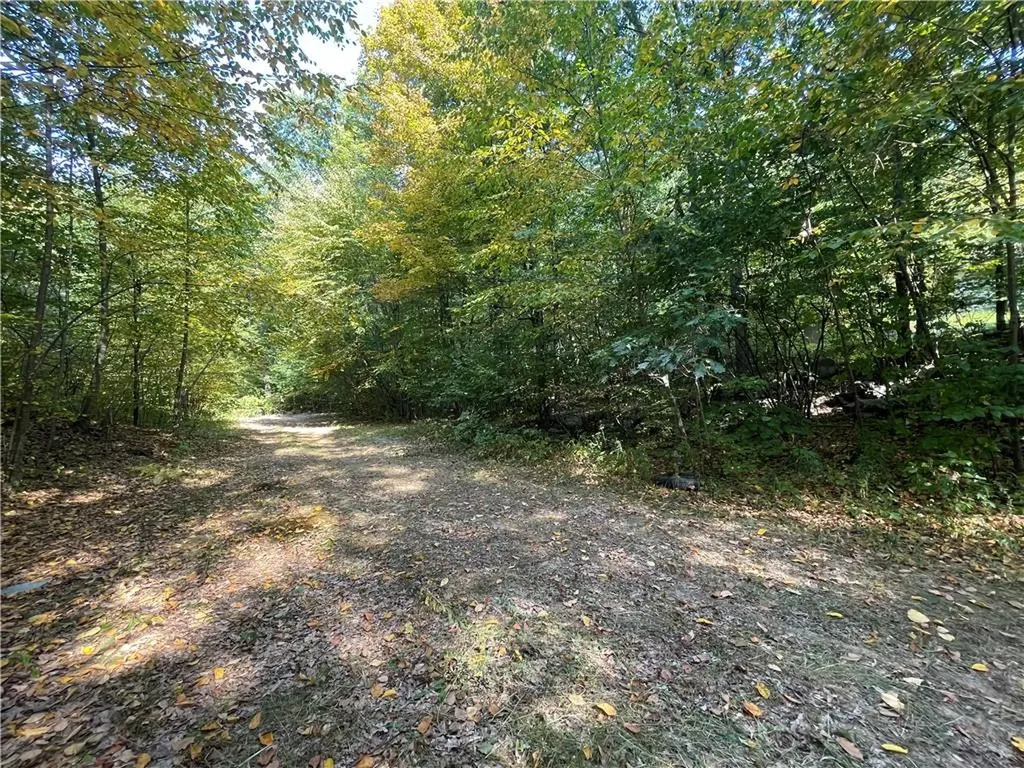 63 Lewis Lane Wallkill NY 12589