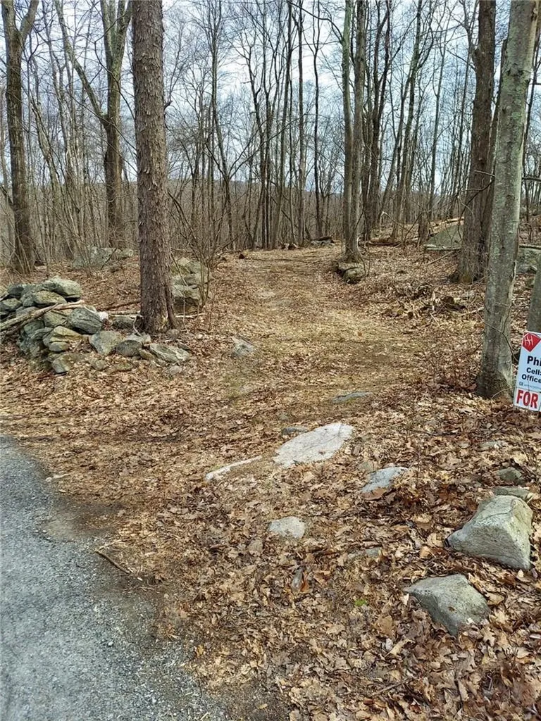 489 Grape Hollow Road Holmes NY 12531