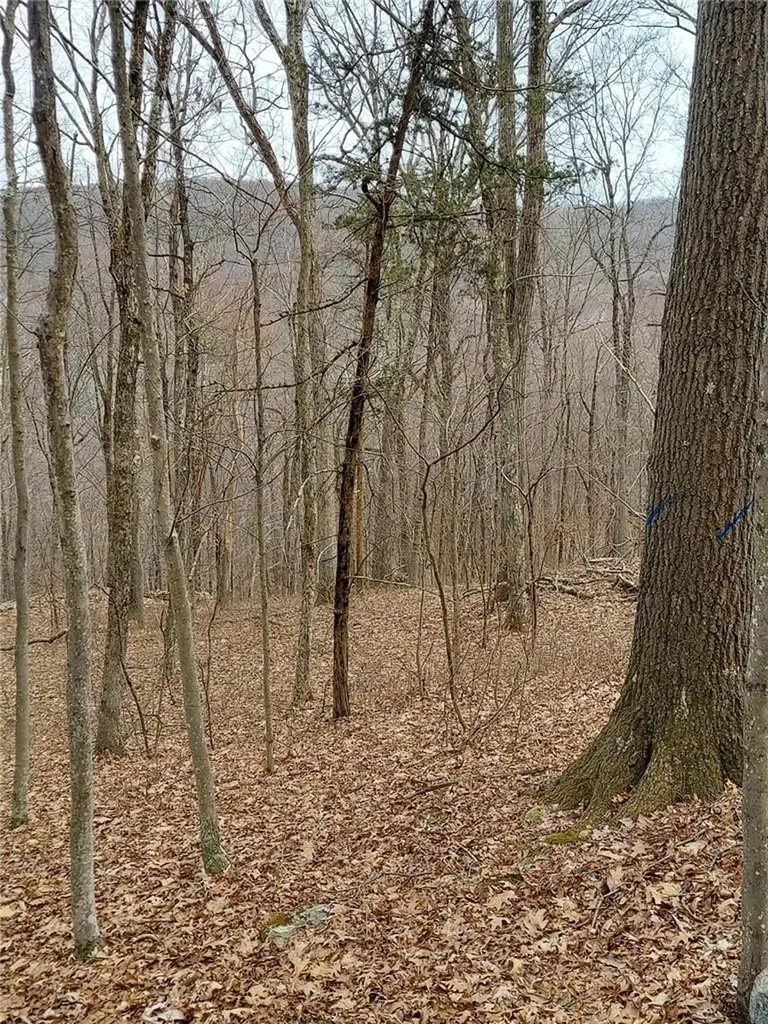 489 Grape Hollow Road Holmes NY 12531
