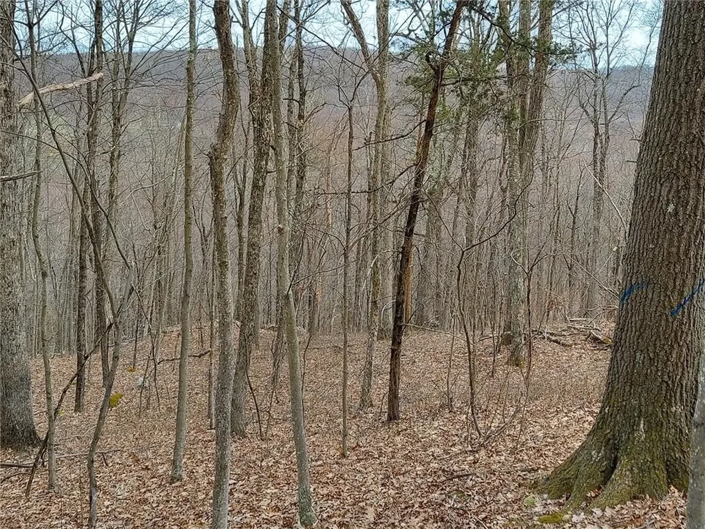 489 Grape Hollow Road Holmes NY 12531