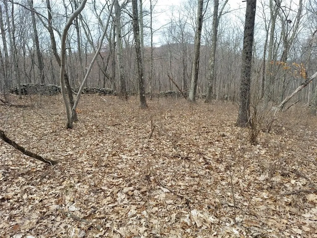 489 Grape Hollow Road Holmes NY 12531