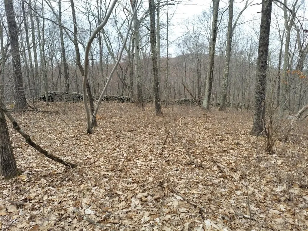 489 Grape Hollow Road Holmes NY 12531
