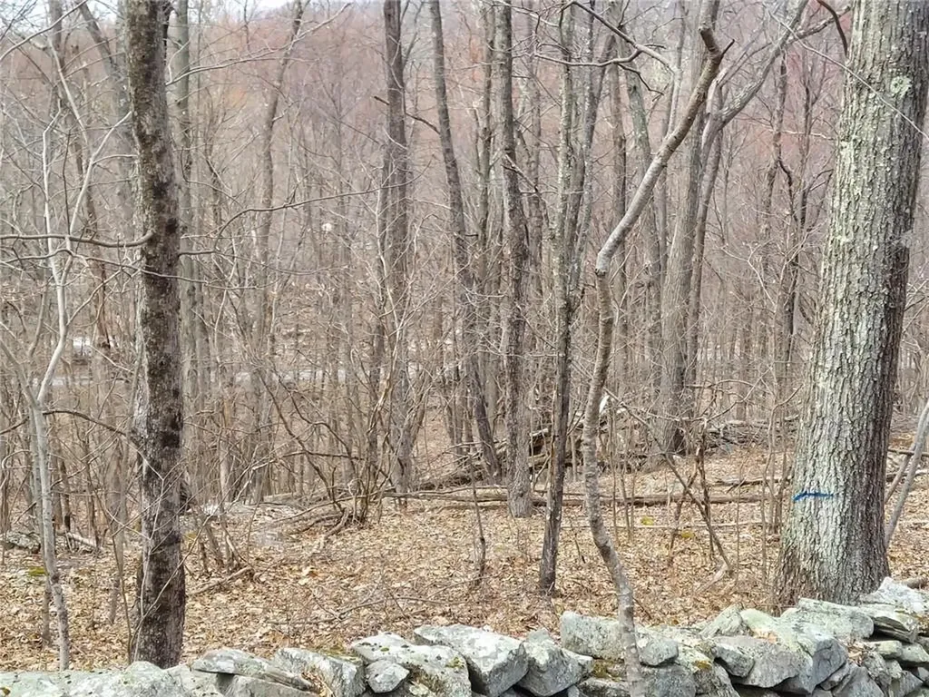 489 Grape Hollow Road Holmes NY 12531