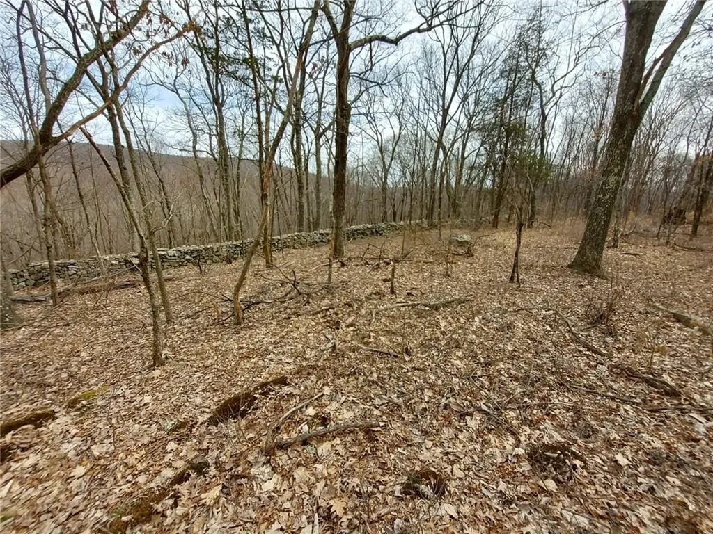 489 Grape Hollow Road Holmes NY 12531