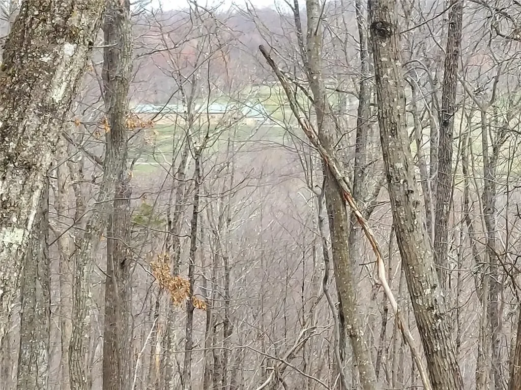 489 Grape Hollow Road Holmes NY 12531