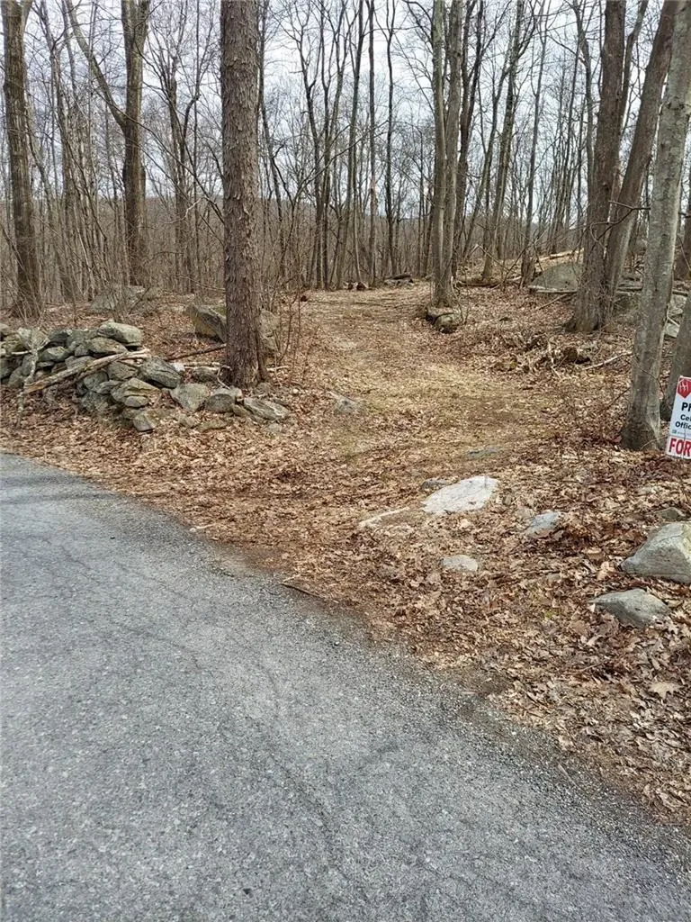 489 Grape Hollow Road Holmes NY 12531