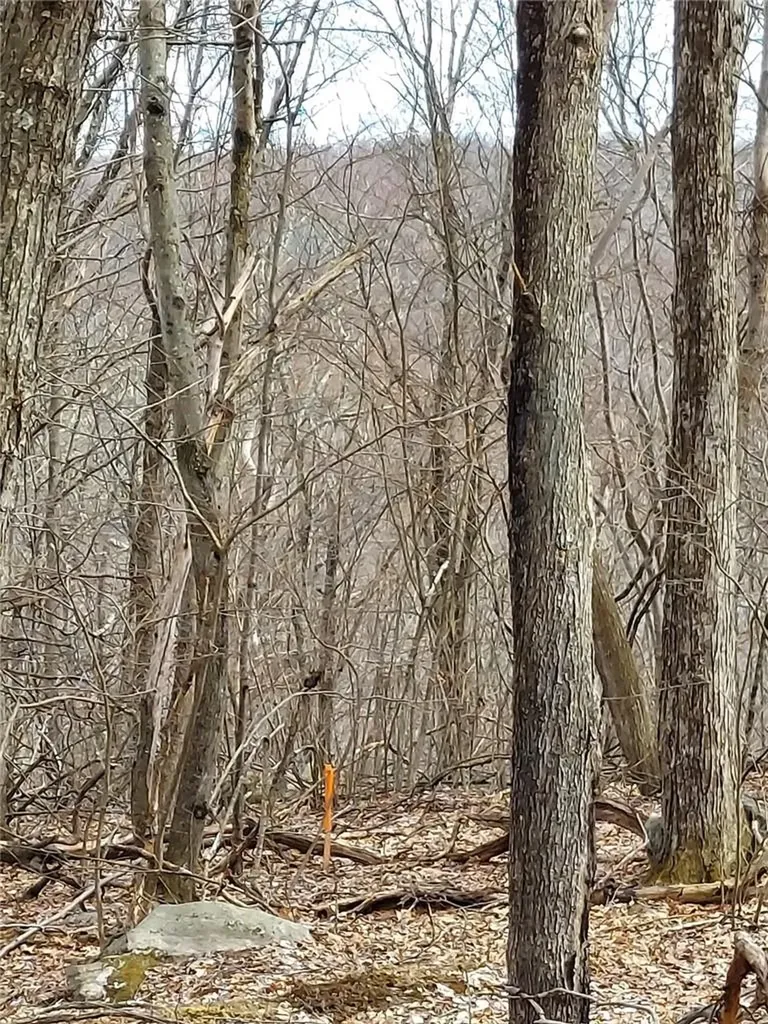 489 Grape Hollow Road Holmes NY 12531