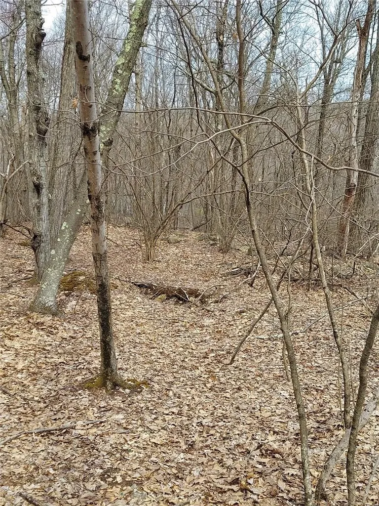 489 Grape Hollow Road Holmes NY 12531