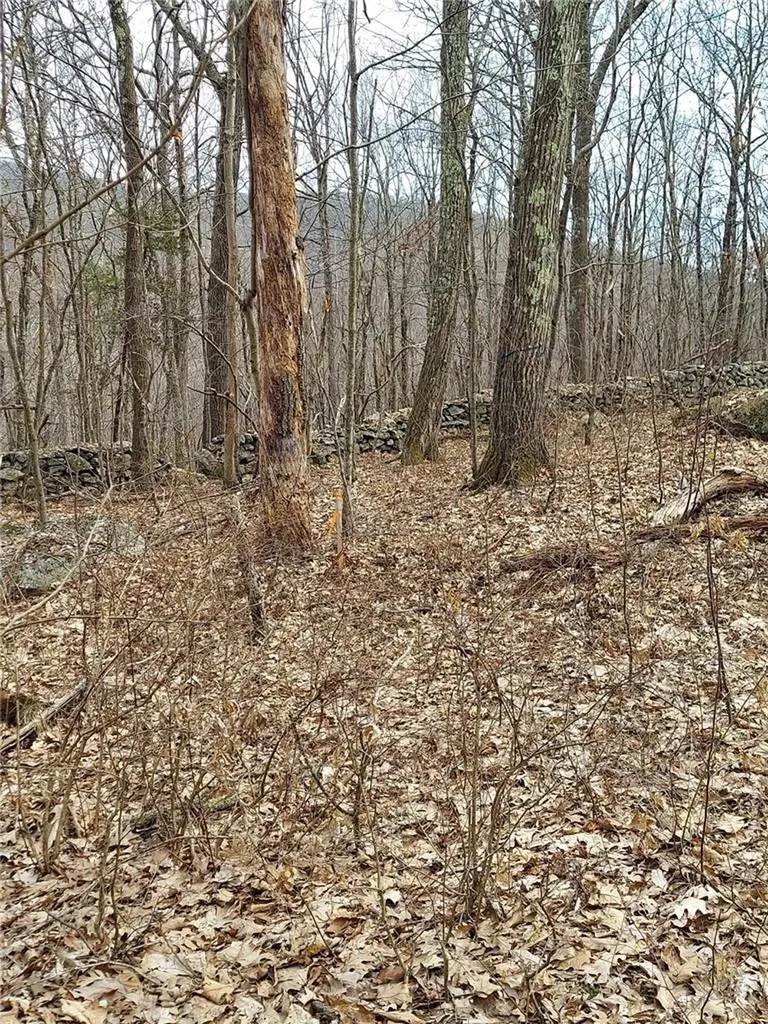 489 Grape Hollow Road Holmes NY 12531