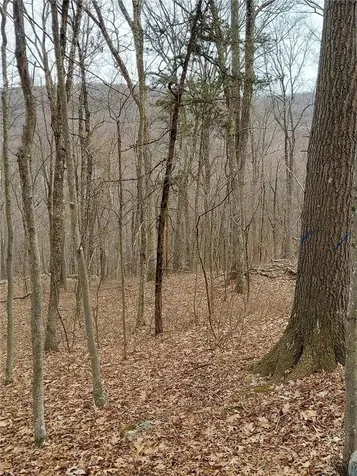 489 Grape Hollow Road Holmes NY 12531