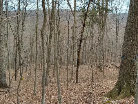 489 Grape Hollow Road Holmes NY 12531