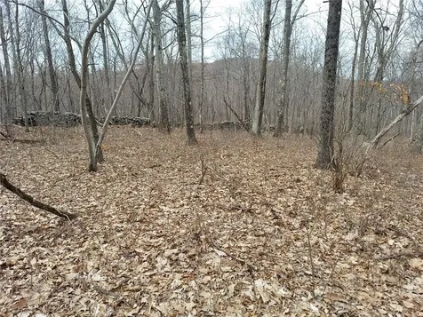 489 Grape Hollow Road Holmes NY 12531