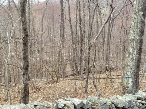 489 Grape Hollow Road Holmes NY 12531