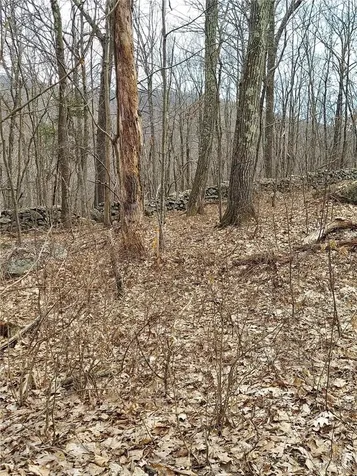 489 Grape Hollow Road Holmes NY 12531
