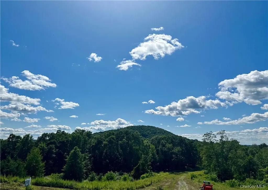 32 Mountainside Drive Chester NY 10918
