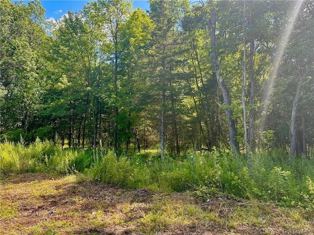 32 Mountainside Drive Chester NY 10918