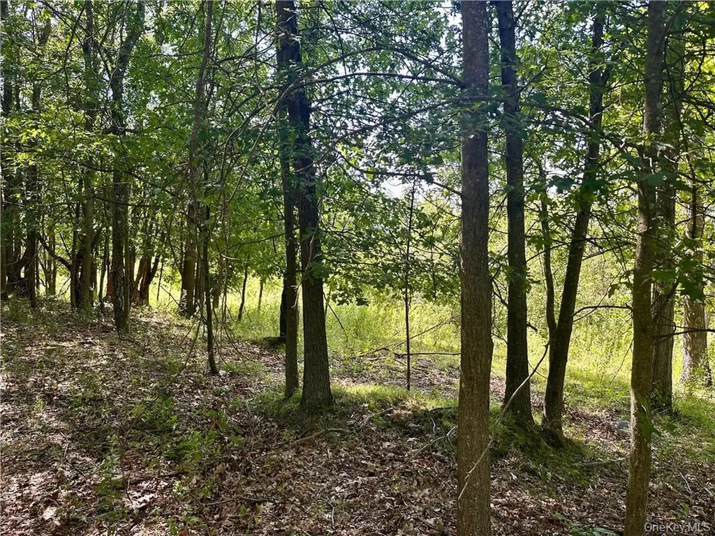 32 Mountainside Drive Chester NY 10918