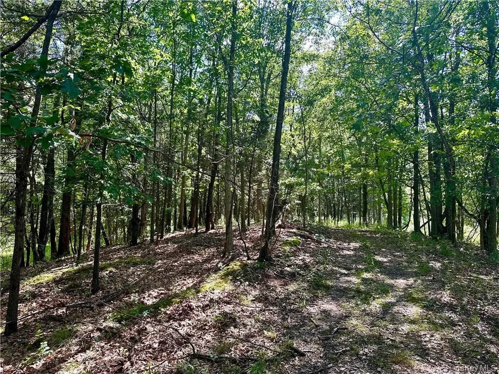 32 Mountainside Drive Chester NY 10918