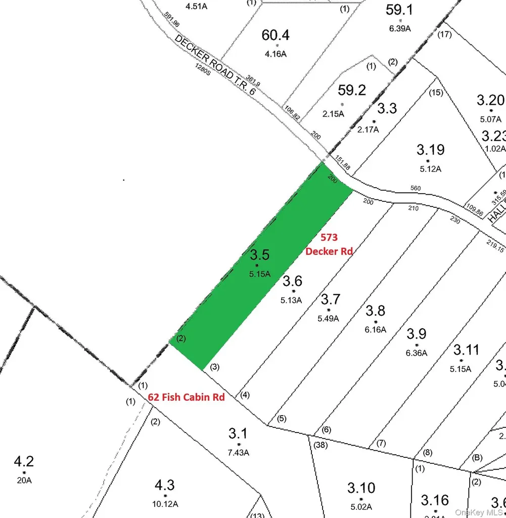Decker Road Glen Spey NY 12737