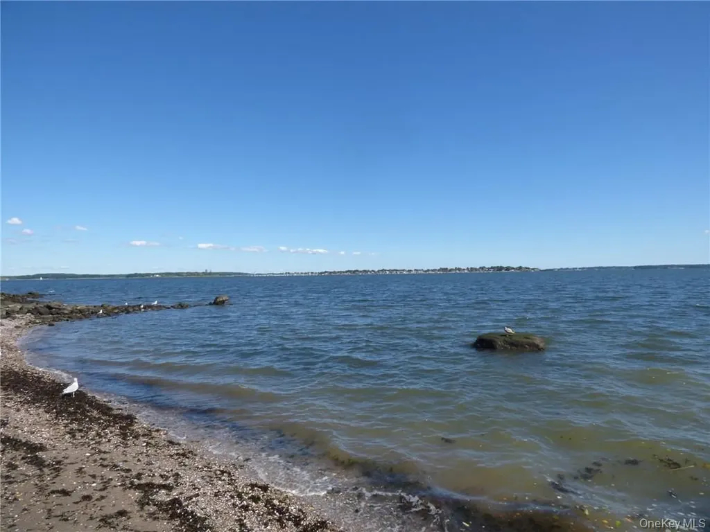 65C Edgewater Park Bronx NY 10465