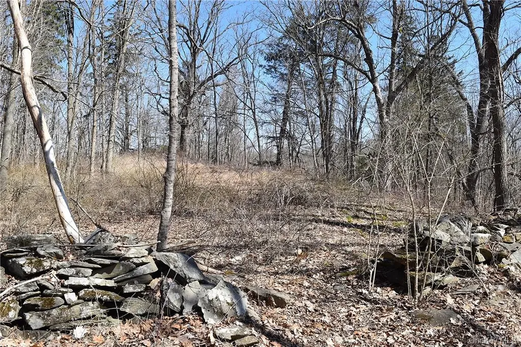 79-85 Miller Road Rhinebeck NY 12572