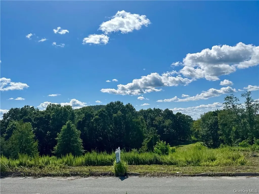 34 Mountainside Drive Chester NY 10918