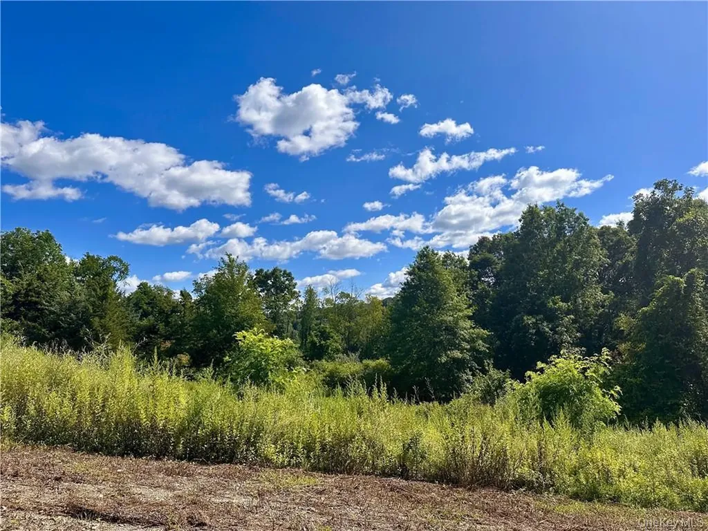 34 Mountainside Drive Chester NY 10918