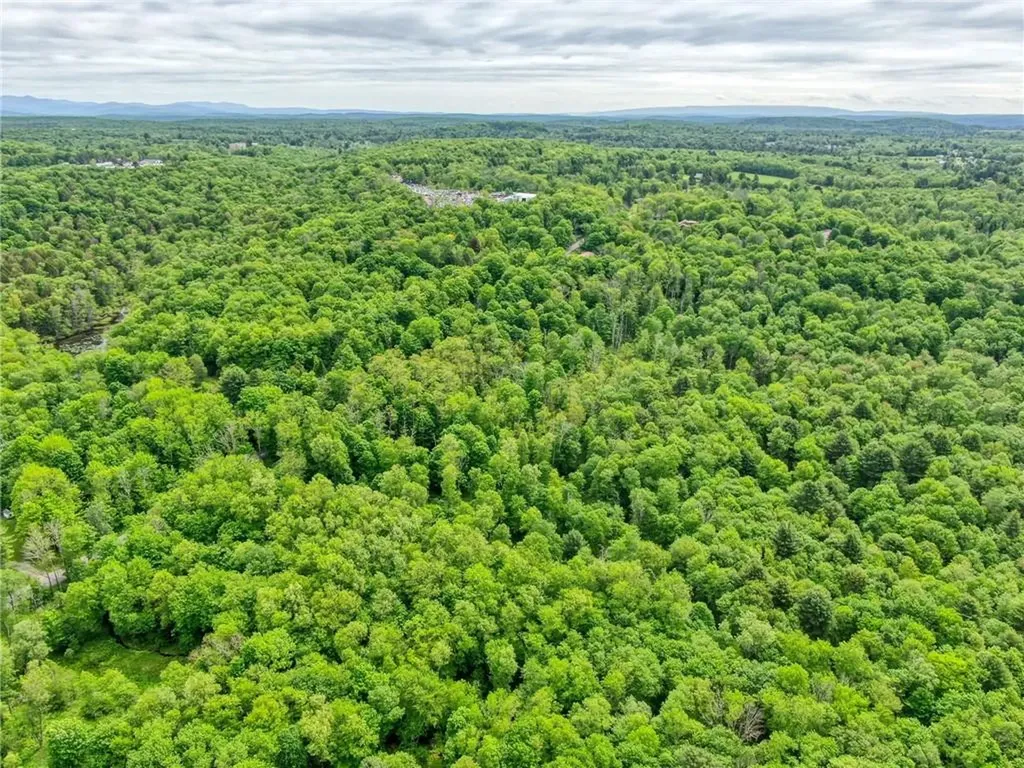401 Harris Road Monticello NY 12701